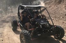 Evening Buggy Ride at Palmeraie Area with Tea Tasting from Marrakech