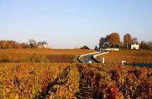 Chateaux and Terroirs Guided Tour on the Bordeaux Wine Roads