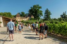 Chateaux and Terroirs Guided Tour on the Bordeaux Wine Roads