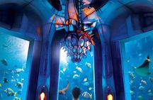 Palm Monorail Ticket With Lost Chambers Aquarium and Welcome SIM