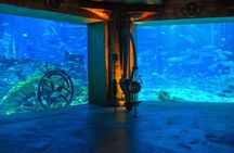 Palm Monorail Ticket With Lost Chambers Aquarium and Welcome SIM