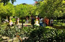 Palacio de Dueñas Guided Tour