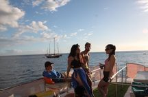 Cetacean Watching Cruise by Barrier Free Boat