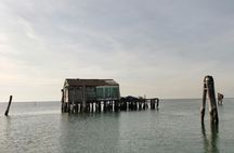 Pellestrina and the Venetian Lagoon Boat Tour from Chioggia