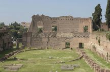 Guided tour of Colosseum, Roman Forum and Palatine Hill