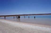 Cejar and Tebenquiche Lagoons guided tour