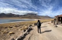 Altiplanic lagoons and Atacama Salt Flat full-day trip with lunch