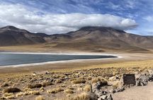 Altiplanic lagoons and Atacama Salt Flat full-day trip with lunch