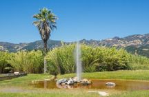 Sonoma And Napa Valley Self-Guided Driving Audio Tour