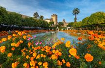 Guided tour of the Jewish Quarter and the Alcázar de los Reyes Cristianos