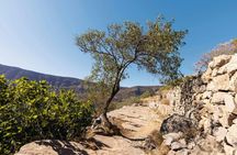 Spinalonga Island Tour Ticket