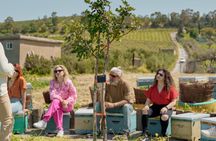 Ogranic Farm Guided Tour with Salad-Making Experience