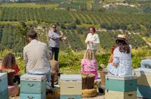 Ogranic Farm Guided Tour with Salad-Making Experience