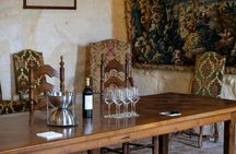 Grand cru Chateau and Saint Emilion village half-day guided tour