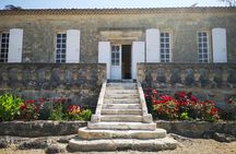 Grand cru Chateau and Saint Emilion village half-day guided tour