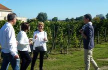 Full-day wine tour in the Medoc region