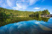 Baden Baden Visit and Black Forest Shared Tour