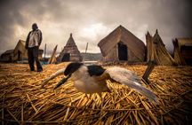 Full-Day Tour to the Lake Islands of Uros and Taquile with Lunch