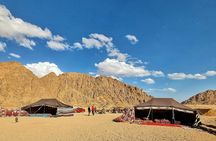 Arabian Night with Stargazing Experience and Bedouin dinner in Sharm