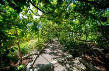 Gran Canaria Food Tour with Distillery Visit and Lunch
