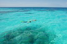 Snorkeling in Cala Gonone in the Orosei Gulf
