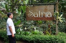 Kanto Lampo Waterfall and Tegalalang rice terraces private tour