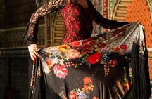 Madrid Tour and Flamenco Show with Dinner Option