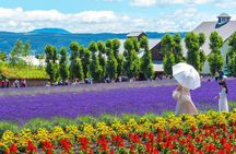 Full-Day Biei, Furano Flower Sea, Ningle Terrace Tour with Lunch