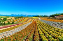 Full-Day Biei, Furano Flower Sea, Ningle Terrace Tour with Lunch