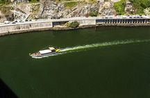 Electric vehicle tour and Douro River cruise in Porto