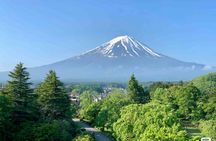 Instagram-Worthy Mt. Fuji Full-Day Tour from Tokyo
