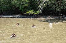 Floating and Railway Markets and Mangrove Boat private tour