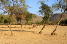 Full-Day Mountain Safari from Salalah
