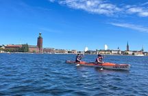 Stockholm City Daytime Kayak Tour