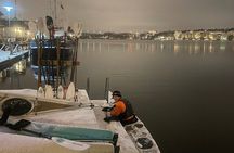 Stockholm city winter kayaking tour