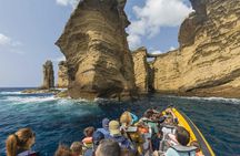 Azores whale watching and Islet boat tour