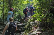 Ng Tung Chai Waterfalls Hiking Tour