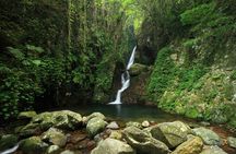 Ng Tung Chai Waterfalls Hiking Tour