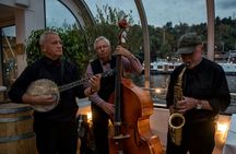 Prague panoramic cruise with dinner and live music