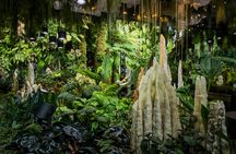 Cloud Forest and Flower Dome at Gardens By The Bay Entrance Tickets