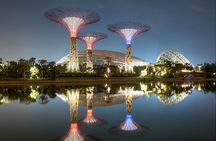 Cloud Forest and Flower Dome at Gardens By The Bay Entrance Tickets