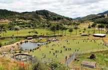 Guided tour to Porcon Farm