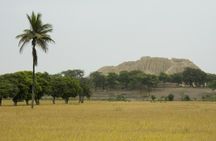 Tucume, Royal Tombs Museum and Huaca Rajada Full-Day Private Tour
