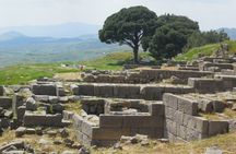Pergamon Guided Tour from Izmir