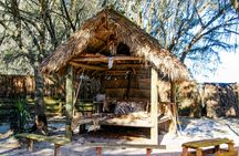 One Hour Central Florida Everglades Airboat Tour with Park Admission