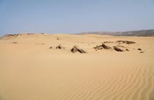 Buggy Ride Adventure with Moroccan Tea Tasting from Agadir