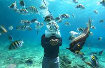Sea Trek Helmet Diving with Optional Transfer