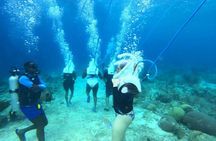Sea Trek Helmet Diving with Optional Transfer