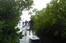 Stand up paddle guided tour