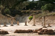 Nemea Tour Wine Tasting Experience